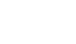 weonsoft codema
